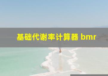 基础代谢率计算器 bmr